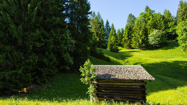 Naturschutzgebiet Matten-Laterns